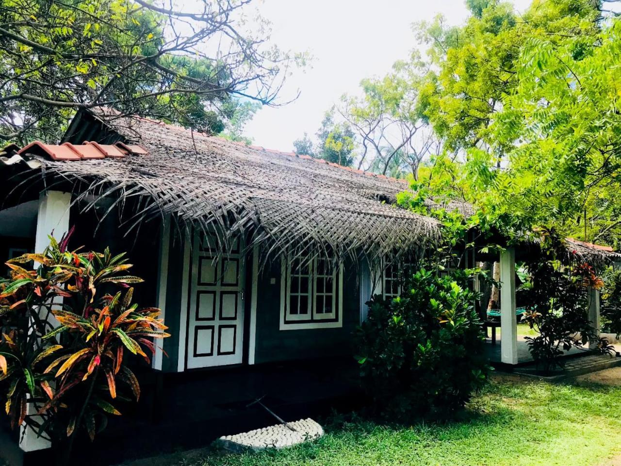 Werala Beach Resort カルピティヤ エクステリア 写真