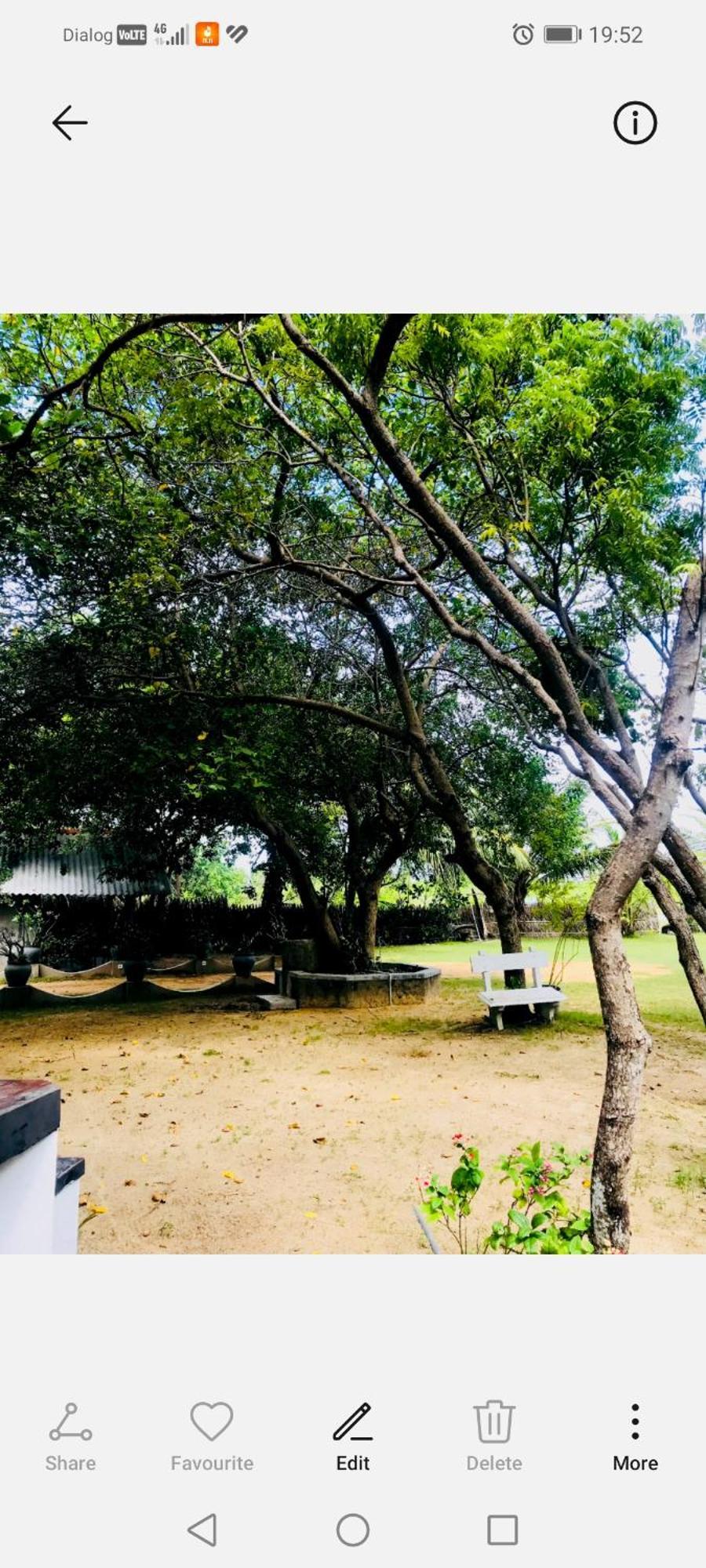 Werala Beach Resort カルピティヤ エクステリア 写真
